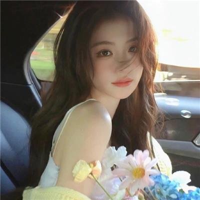 野良与皇女与流浪猫之心